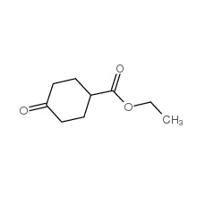 �Ի���ͪ��������